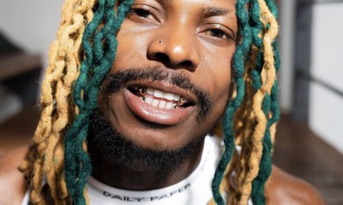Asake, Mr. Money With the Vibe: HuntrMania